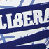  Red Bull Discesa Libera 2010 - folder/luggage - agenzia Carsons&Co 